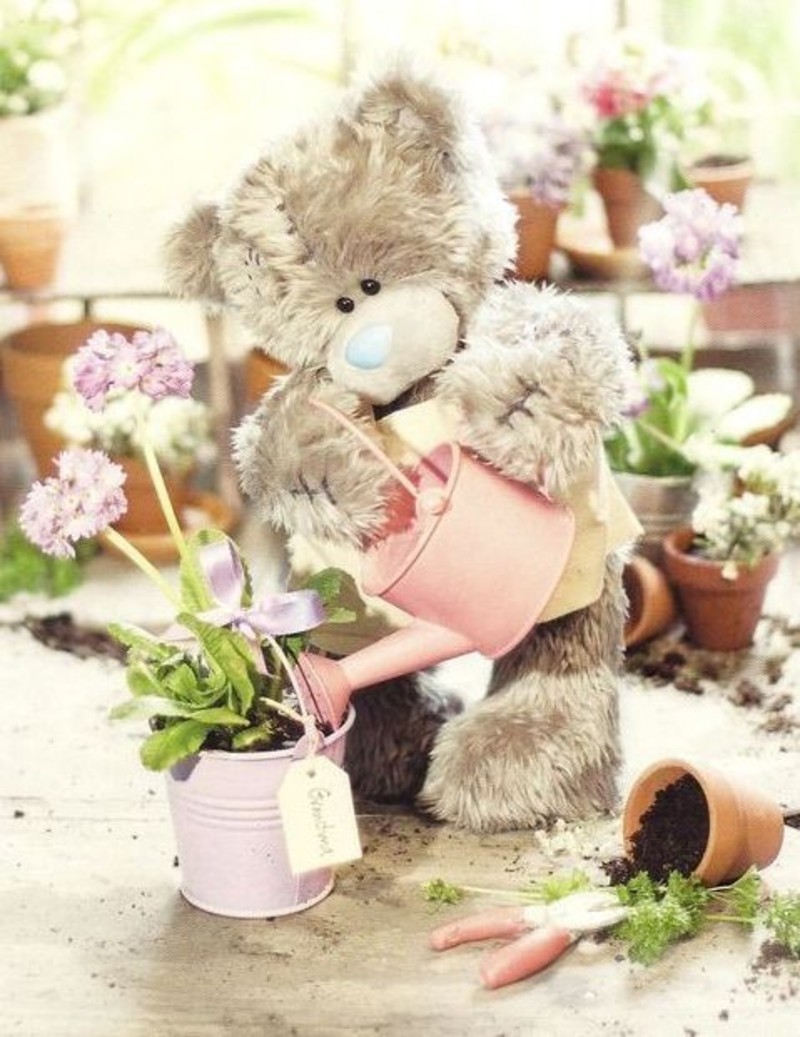 Serita Teddy